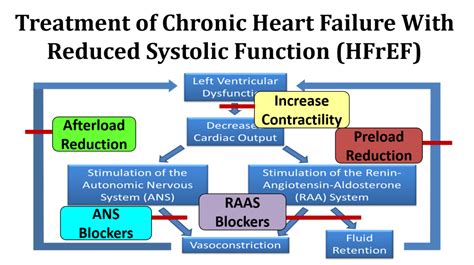 The Heart Failure Syndrome | Executive Electrocardiogram Education