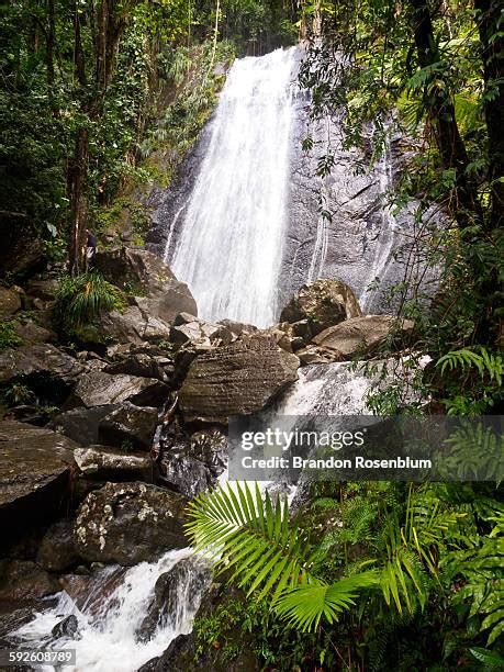 69 El Yunque Waterfalls Stock Photos, High-Res Pictures, and Images - Getty Images