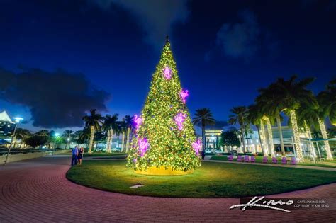 Downtown Gardens Christmas Tree | HDR Photography by Captain Kimo