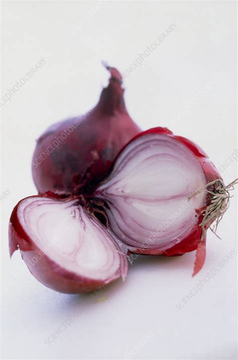 Red onions - Stock Image - H110/1387 - Science Photo Library