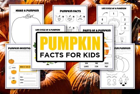 Pumpkin Facts For Kids - Printable Pumpkin Activities - Made with HAPPY