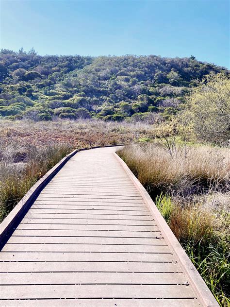 Best Hikes in Half Moon Bay: Coastal Bluffs + Redwood Forests