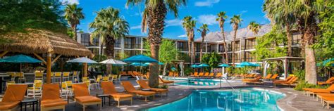 8 Amazing Pet-Friendly Hotels in Palm Springs - A Traveler’s Guide - Extrabux