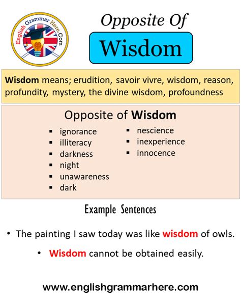 Opposite Of Wisdom, Antonyms of Wisdom, Meaning and Example Sentences ...