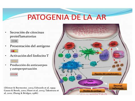 Tratamiento de la artritis reumatoide: Aspectos prácticos para el ...