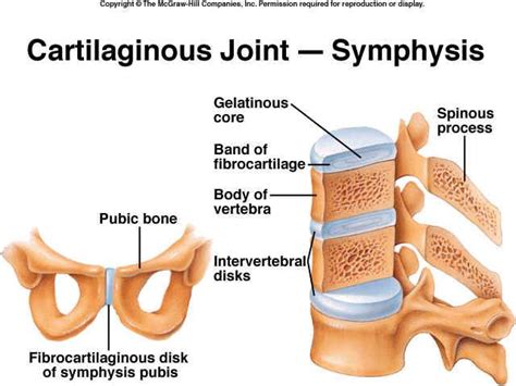 Ghim trên Chapter 9 - Joints