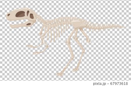 Illustration of fossil dinosaur _ Fukuisaurus _... - Stock Illustration [67973618] - PIXTA