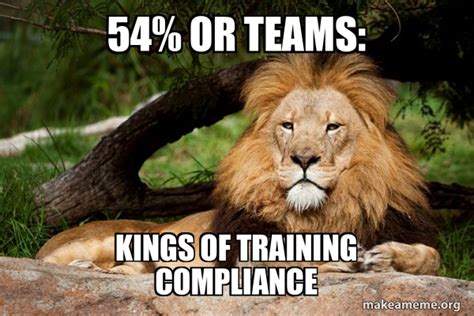 54% or Teams: Kings of Training Compliance - Contemplative Lion | Make a Meme