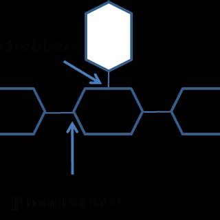 General galactomannan structure and linkages susceptible to being ...