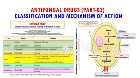 Antifungal Drug (Part 02)= Classification & Mechanism of Action of Antifungal Medicines ...