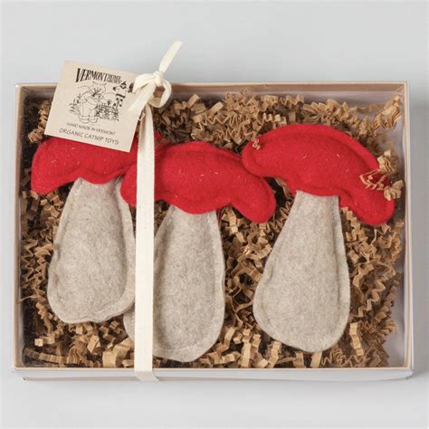 3 Fun Catnip Toys for Your Favorite Feline Valentine - The Animal ...