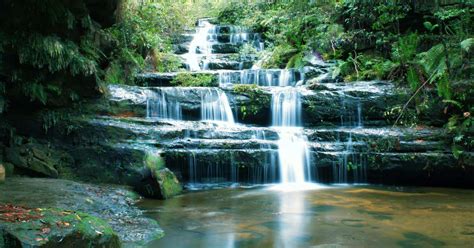 Terrace Falls Circuit - Hazelbrook Hike (4.7km) - Blue Mountains, NSW