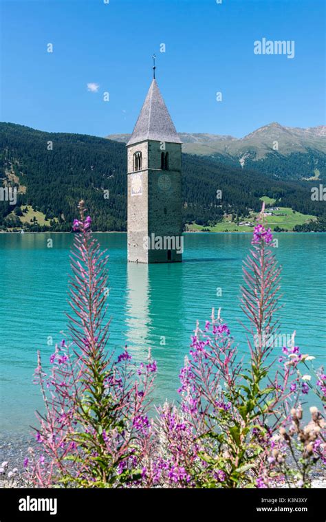 Italy the bell tower in reschen lake hi-res stock photography and images - Alamy