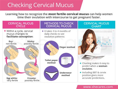 How To Detect Cervical Mucus - Clockscheme Spmsoalan