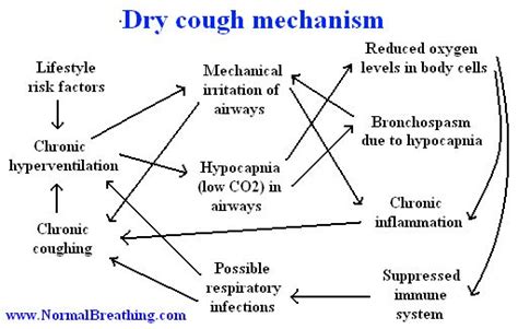 Dry Cough: Causes and Simple Remedies | Persistent cough, Cough ...