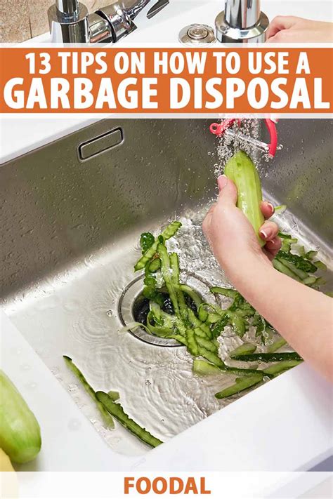 13 Tips to Use a Garbage Disposal Right | Foodal