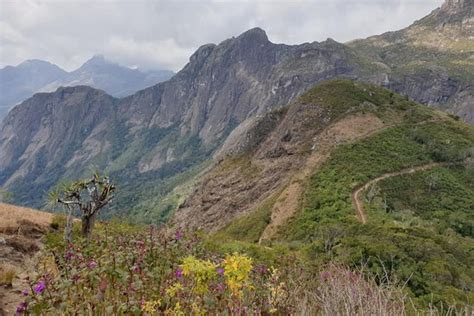 Mulanje Mountain Tour Guide - Mulanje | Tripadvisor