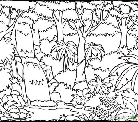 Rainforest coloring page layers - quizreka