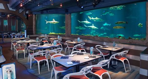 Dinner Alongside Sharks at SeaWorld Orlando – for a limited time park ...