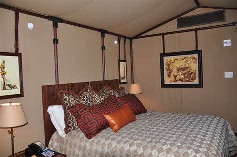 Suite Series: Tour the New Adventureland Suite at Disneyland Hotel, Inspired by Jungle Cruise ...