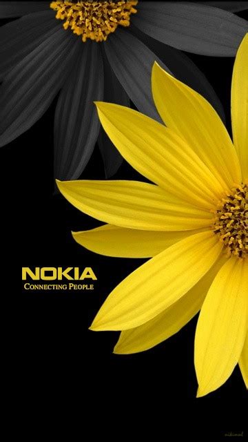 🔥 [50+] Nokia Wallpapers Logos | WallpaperSafari