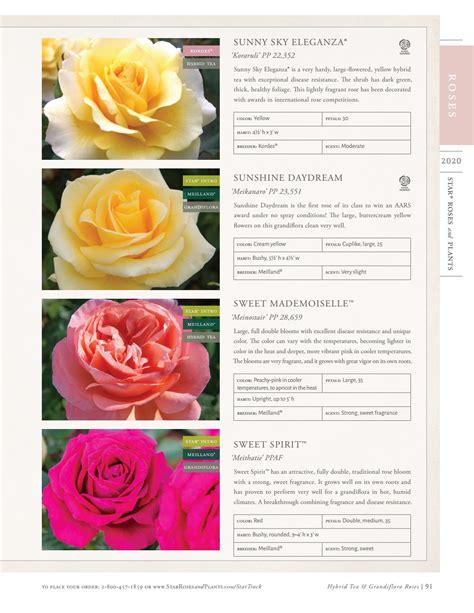 2020 Star® Roses and Plants Catalog by Star® Roses and Plants - Issuu