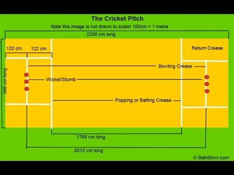 Cricket Pitch Measurements Pdf