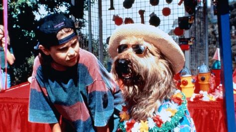 Top Dog (1995) | MUBI