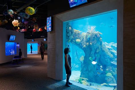 Toledo Zoo Aquarium | Bruce Damonte Architectural Photographer