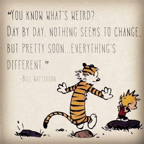 Pin by JOJO S on Calvin and Hobbes | Calvin and hobbes quotes, Calvin ...