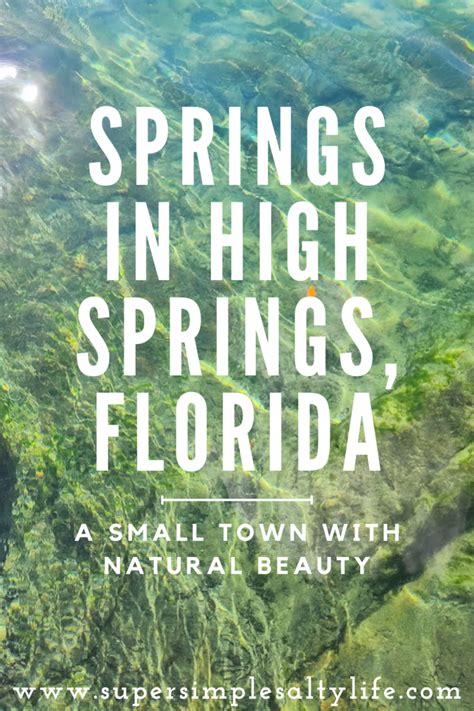 Finding the Best Springs in High Springs, Florida • Explore Florida ...