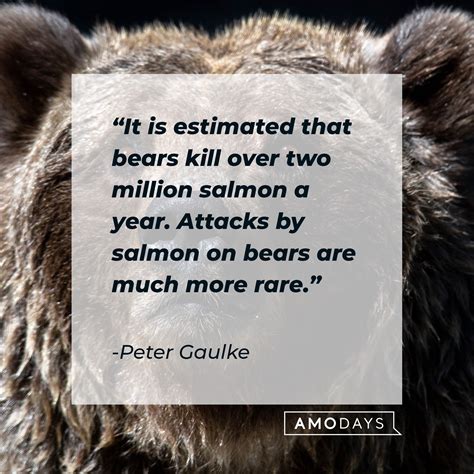 70 Bear Quotes: A Tribute to These Majestic Creatures