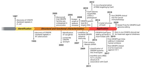 IJMS | Free Full-Text | Novel CRISPR–Cas Systems: An Updated Review of ...