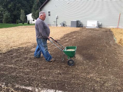 Preparing a Lawn for the Planting of Grass Seed.