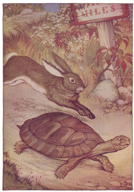 The Hare and the Tortoise