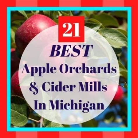 2023 BEST Fall Festivals in Michigan: Your Ultimate Guide to Michigan Fall Festivals | My ...