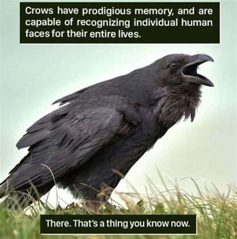 Weird Animal Facts That Will Change The Way You Look At Nature