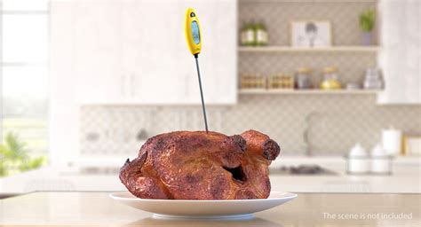 Cooking Thermometer Roasted Turkey 3D - TurboSquid 1318160