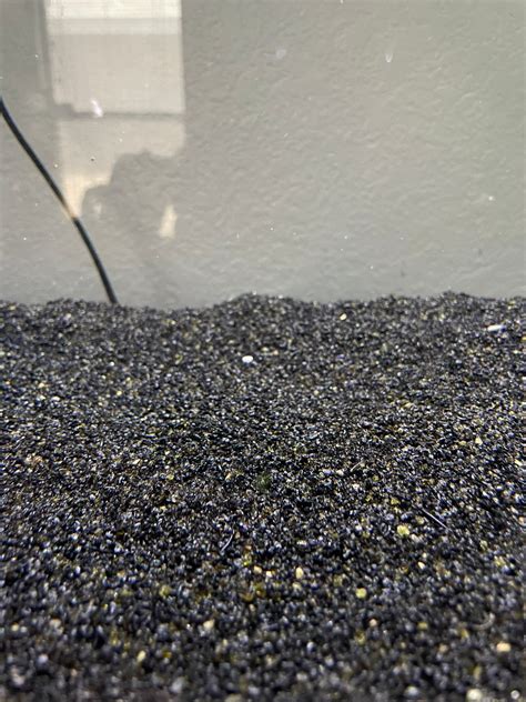 Black Aquarium Substrate // Medium Sand // Black Aquarium Sand - Etsy