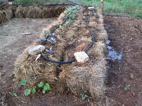 McCoy Farm and Folk Art: Hay Bale Gardening