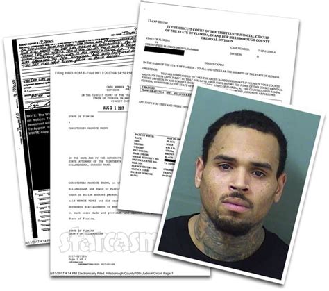 Chris Brown arrested on felony battery warrant after Florida concert * starcasm.net