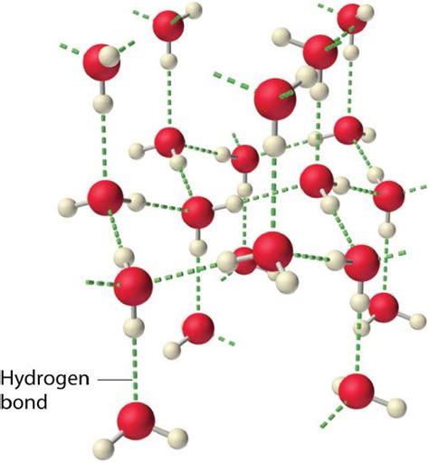 14.7: Intermolecular Forces- Dispersion, Dipole–Dipole, Hydrogen Bonding, and Ion-Dipole ...