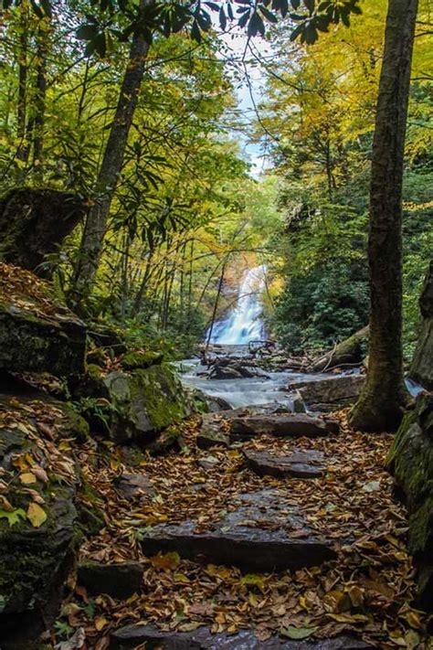 Cascade Falls – Virginia's Mountain Playground™ | Cascade falls, Virginia mountains, Cascade