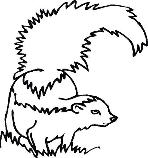 Skunk 1 Coloring Page - Free Printable Coloring Pages for Kids