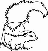 Skunk 1 Coloring Page  Free Printable Pages For Kids sketch template