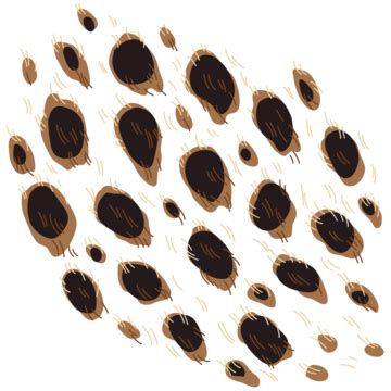 Cheetah Print Pattern PNG Images For Free Download - Pngtree