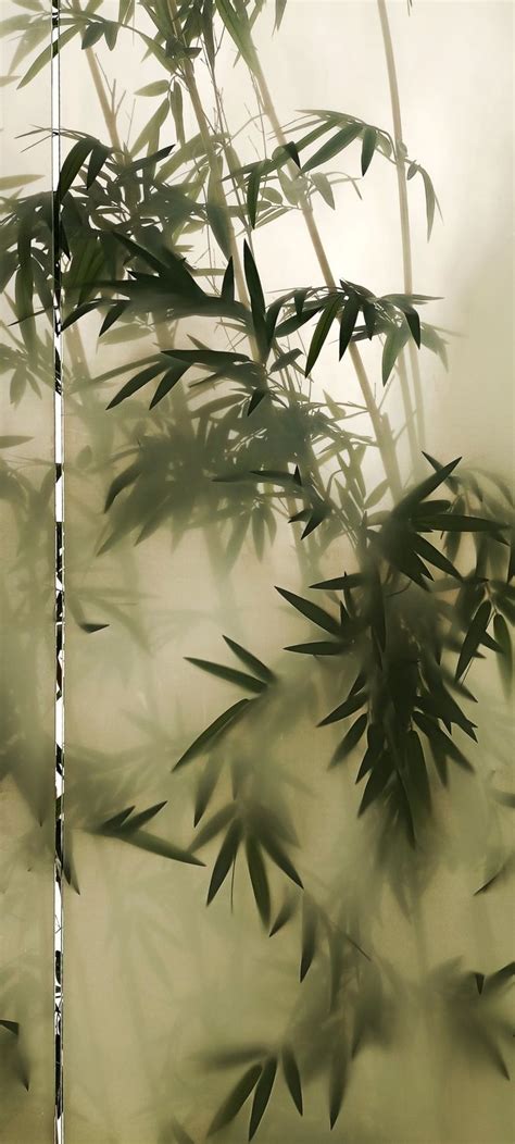 Plants, bamboo, aesthetic | Plant aesthetic, Bamboo background, Bamboo aesthetic wallpaper