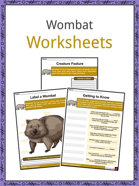 Wombat Facts, Worksheets, Etymology, Habitat & Diet For Kids