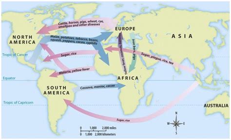 1301 Timeline Project DCUSH | Timetoast timelines