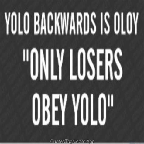 Funny Yolo Quotes - ShortQuotes.cc